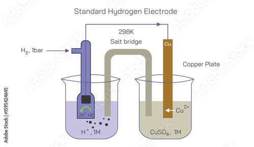 Assigned a standard electrode potential. The standard Hydrogen Electrode reference consisting of a platinum electrode in contact with 1MH plus ions and hydrogen Vector illustration.Pressure electrodes