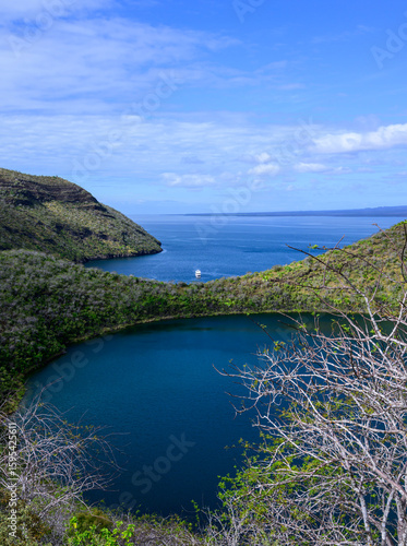 Slika na platnu Tagus Cove Darwin Lake Isla Isabela Island Galapagos