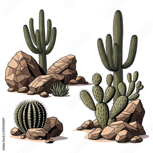 Desert Blooms Cactus and Rock Formations Illustration