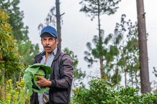 Portrait of an adult farmer in a cabbage field in Latin America.