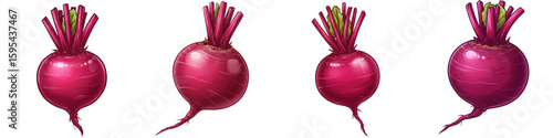 Set of isolated beetroots on white background  
