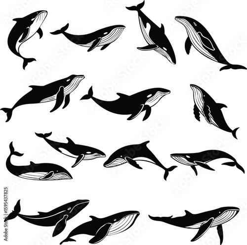 Peaceful Ocean Scene with Whale Silhouette