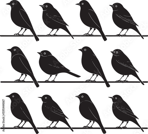 Wallpaper Mural Bird Silhouette Vector Elegant Flying Bird Shape for Logo, Tattoo, and Print Design Torontodigital.ca