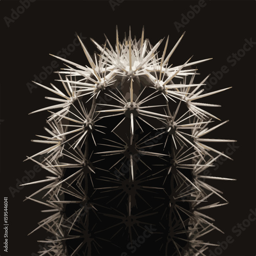 Minimalist macro photograph of a cactus plant, showcasing the intricate geometric pattern of sharp white spines on a dark background