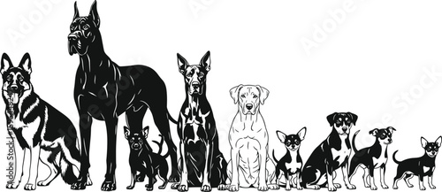Five dog breed silhouettes, German Shepherd, Great Dane, Chihuahua comparison, canine growth stages, pet diversity illustration, black vector design, lineup
