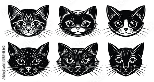 A cute group of isolated black and white feline kittens.