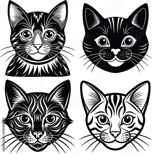 A cute group of isolated black and white domestic kittens with funny eyes