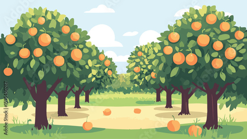 Lush Orange Orchard Trees with Ripe Fruit Harvest for Agriculture