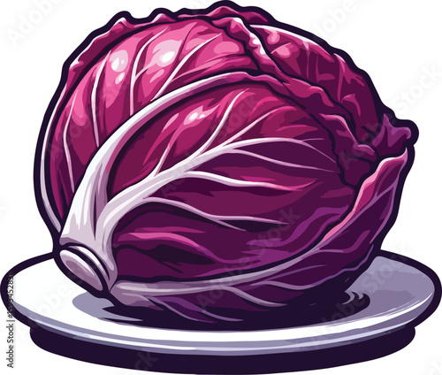 red cabbage isolated on white
