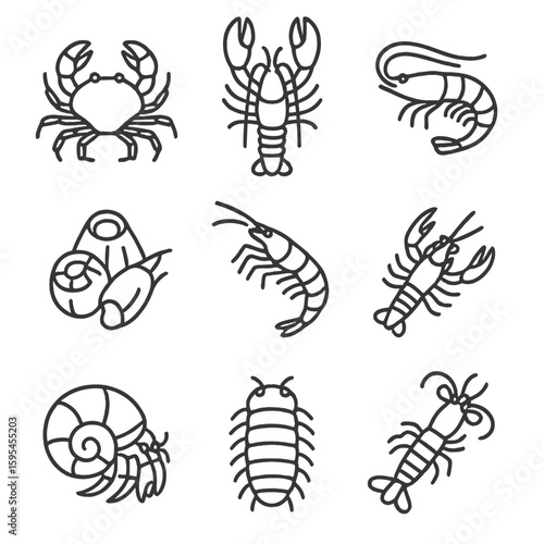 Crustacean Line Icons. Line style icons of Crustacean Creatures: crab, lobster, shrimp, barnacle, krill, crayfish, hermit crab,