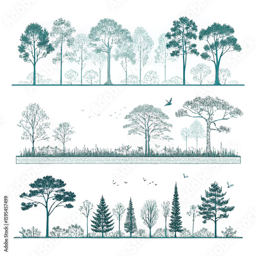 Architectural Drawings, Minimal style cad tree line drawing, Side view, set of section wetland forest outline for landscape design drawing. Vector illustration in separate element
