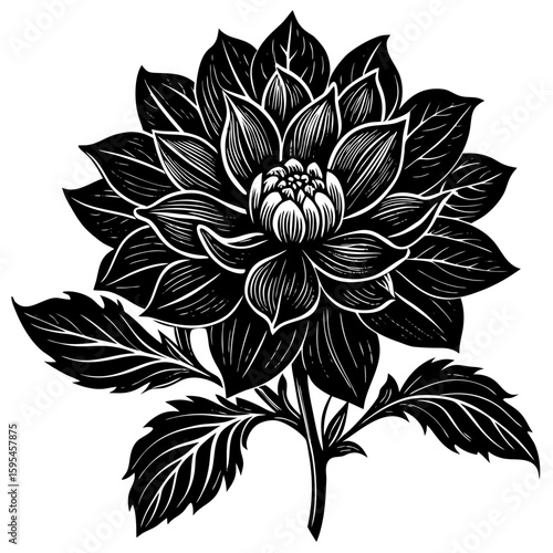Create a soothing and aromatic botanical flower blend using natural dried flowers. Focus on color harmony, fragrance layering, and potential wellness benefits