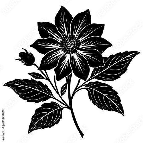 Create a soothing and aromatic botanical flower blend using natural dried flowers. Focus on color harmony, fragrance layering, and potential wellness benefits