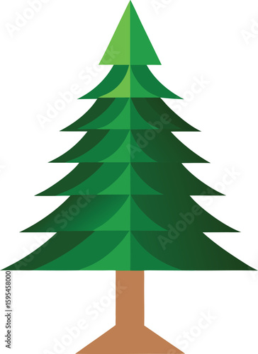 Green pine tree illustration isolated on white background