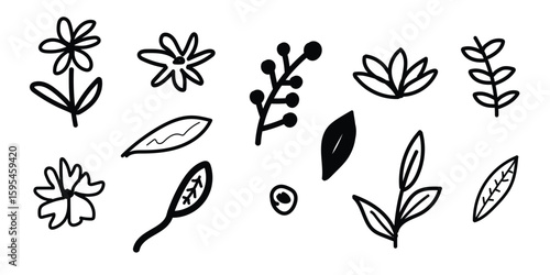 Black Outline Botanical Elements Collection floral