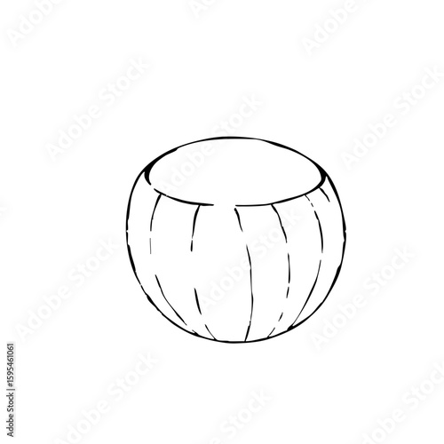 Simple line sketch of a coconut  