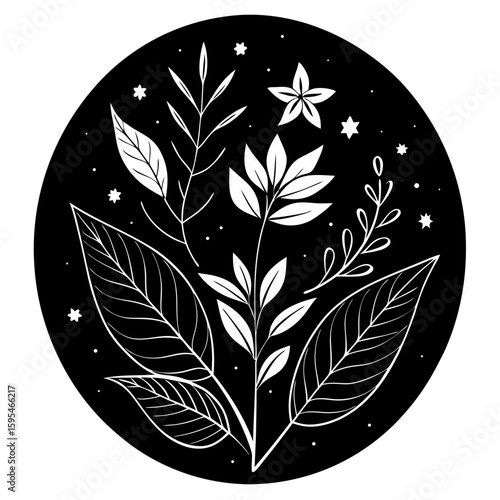 Design a natural botanical blend using herbs, flowers, and plant elements for a specific purpose such as wellness, aroma, or skincare. Focus on harmony, scent, and benefits