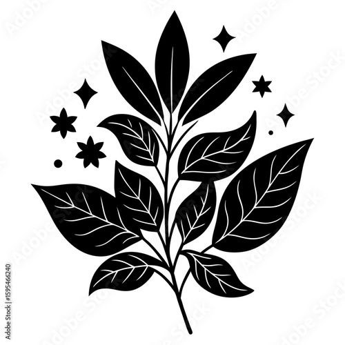 Design a natural botanical blend using herbs, flowers, and plant elements for a specific purpose such as wellness, aroma, or skincare. Focus on harmony, scent, and benefits