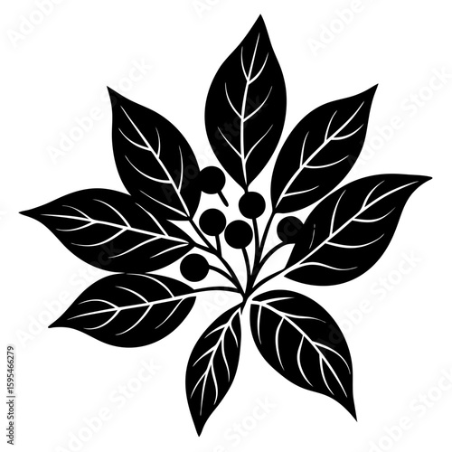 Design a natural botanical blend using herbs, flowers, and plant elements for a specific purpose such as wellness, aroma, or skincare. Focus on harmony, scent, and benefits