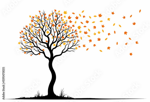 Tree shedding orange leaves in autumn against a white background  