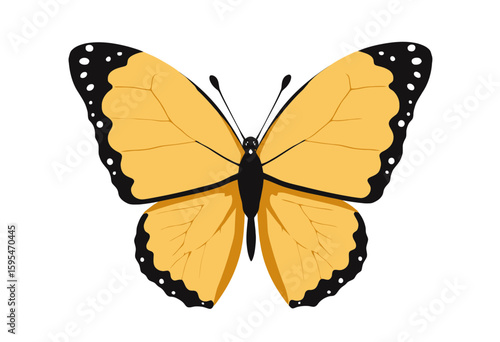 Yellow butterfly illustration with black wing tips on white background  