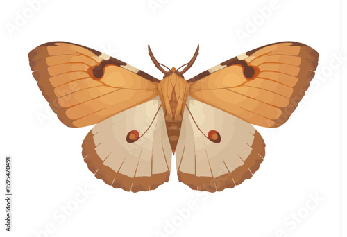 Realistic illustration of a moth with brown and cream wings  