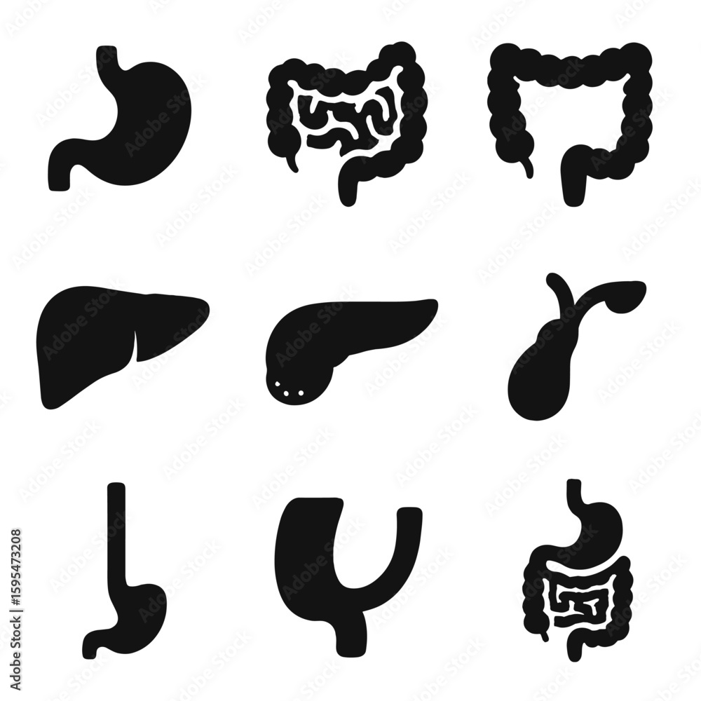 Digestive System Icons. Solid style icons of digestive organs and anatomy: stomach icon, small intestine, large intestine, liver, Digestive System Icons. Solid style icons of digestive organs and anatomy: stomach icon, small intestine, large intestine, liver,
