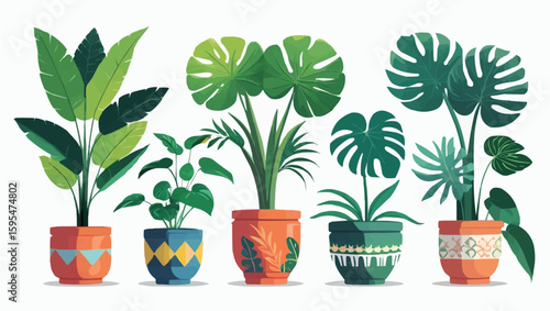 Collection of beautiful plants in ceramic pots isolated on transparent background.
