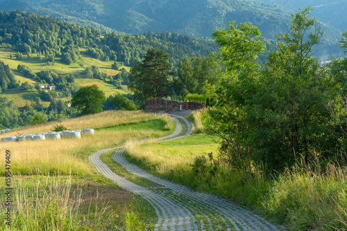Fototapeta Naklejka Na Ścianę i Meble -  Lato w Beskidzie Sądeckim