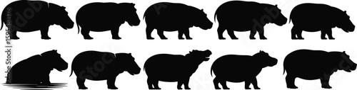 Hippo silhouette vector collection, black wildlife icon pack, grazing animal graphic set, nature pose illustration bundle, river creature artwork design