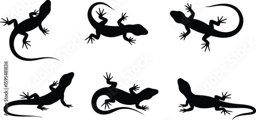 Lizard silhouette vector collection, reptile pose illustration pack, wildlife graphic set, nature animal design, black outline artwork, crawling icon
