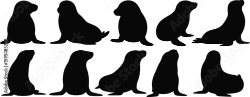 Seal and sea lion silhouette collection, marine mammal vector design, black aquatic icon pack, ocean wildlife artwork set, animal illustration bundle