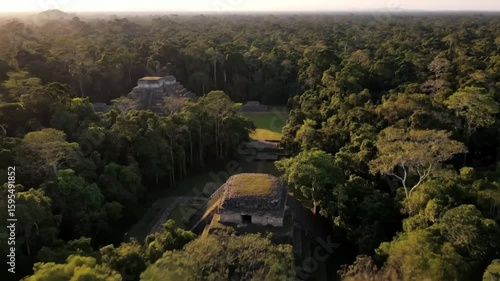 Unveiling the lost Mayan city of Tikal a breathtaking journey into history amidst the vast vibrant Guatemalan rainforest