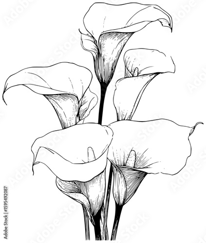 Open lily of the valley buds in vector form