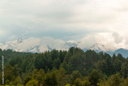 View of evergreen trees in a valley below the Pirin Mountains, seen from a hiking trail near the touristy town of Bansko in southeastern Bulgaria
