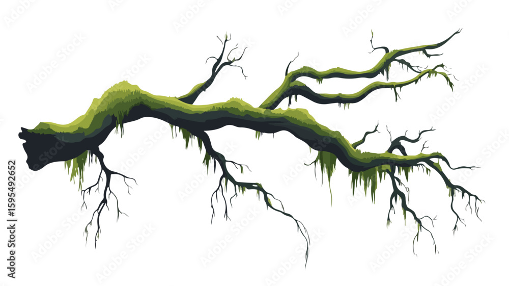 Fototapeta premium Detailed Mossy Tree Branch Nature Texture on Forest Floor