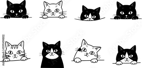 Black and white cat peeking, looking out. Funny characters set. Cute emotional domestic animal. Hiding, hunting, playing, sitting, lying concept. Hand drawn Vector illustration. Isolated elements
