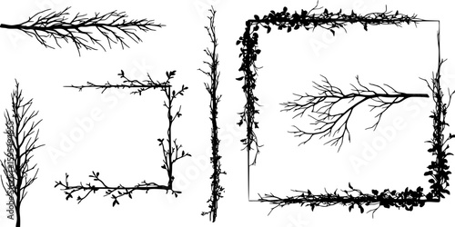 Dry branches silhouettes rectangular shape frame set. Arid tree part with leaves elegant liana creeper dangling nature plant element. Black and white simple flat style. Isolated vector on white