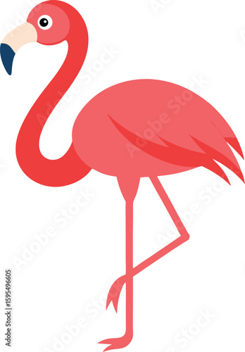 bird of a vector color Art 