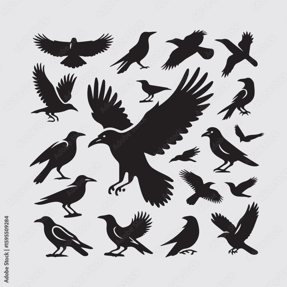 Obraz premium crow on a white background