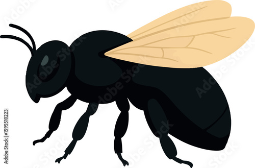 Flat vector carpenter bee with bulky black body and soft wings, side view, vector-friendly, isolated on white