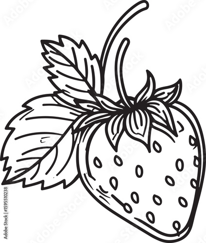 sketch cartoon drawing of strawberry