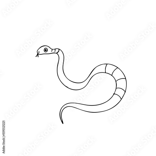 Simple line sketch of a coral snake in a minimalist style  