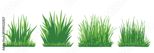 Green grass silhouette. Plants and shrubs for boarding and framing, eco and organic logo element. Vector set spring field planting shapes lawn or borders garden on white background 