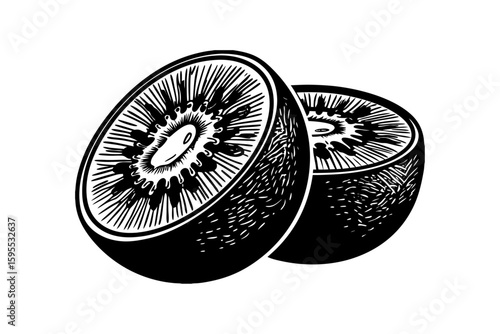 Detailed Cross Section Illustration of a Kiwi Fruit with Seeds and Pulp