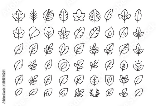 Set of 40 linear leaf icons for nature and environment