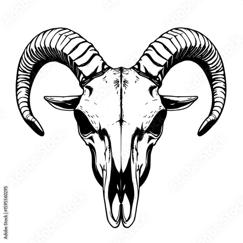 A stylized, monochrome front-facing goat skull with long, curled horns and etched textures. The image is detailed with jagged line work, emphasizing the bone structure, giving it a haunting, ceremonia