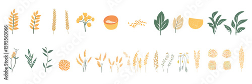 Flat minimalist vector illustration of diverse grain and cereal plants icons including wheat, barley, oats, rice, and quinoa with leaves and seeds isolated on white background