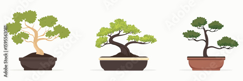 Set of three flat minimalist bonsai trees in various pots with stylized branches and leaves in vector illustration design for indoor plant decor and gardening concepts