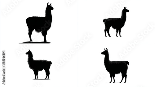 Llama silhouettes stand gracefully, showcasing the unique features of these Andean animals.